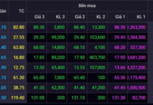 State-Owned Stocks PV GAS, BSR, Petrolimex, Becamex… Plunge: What’s Driving the Sudden Market Shift?