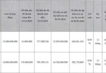 What Will Chuong Duong Corp Utilize the Capital Raised from Its Share Offering For?