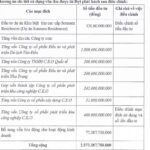 CEO Group Revises Plan for Utilizing Over 2.5 Trillion VND from Share Issuance