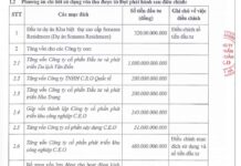 CEO Group Revises Plan for Utilizing Over 2.5 Trillion VND from Share Issuance