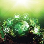 Unlocking Sustainable Growth: Establishing a Green Financial Mechanism for a Circular Economy Value Chain