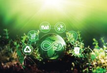 Unlocking Sustainable Growth: Establishing a Green Financial Mechanism for a Circular Economy Value Chain