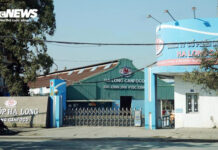 How Does Ha Long Canned Food Company Operate, and Who Is Managing It?