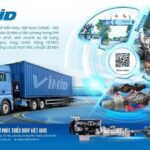 VVS Stock Fluctuates Ahead of Q4 2025 Earnings Report