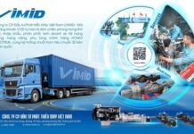 VVS Stock Fluctuates Ahead of Q4 2025 Earnings Report