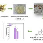 “Underwater Treasure” in Nha Trang Bay Unveils Rare and Valuable Compounds