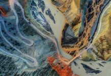 Urgent Quad Meeting: US, Australia, India, and South Korea Unite to Counter China’s Influence