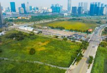 Unusual Trends in Land Plots Across Ho Chi Minh City, Dong Nai, and Tay Ninh
