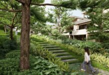 Natural Terrain: The Ultimate Factor Defining the Value of Luxury Resort Projects
