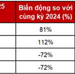 DNSE Sets New Record in Margin Loan and Advance Payment Debt