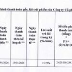 Business Linked to Truong My Lan Delays Bond Payment Due to Frozen Accounts