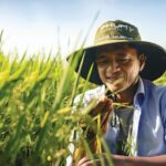 DPM Targets Double-Digit Revenue Growth and 12% Dividend Yield