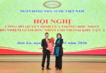 Governor Nguyễn Thị Hồng Appoints Director of State Bank of Vietnam, Region 3