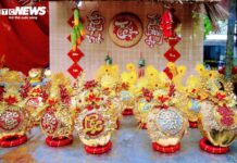 Golden-Plated Coconuts and Horse-Themed Bonsai Coconuts Sell Out for Tet Holiday