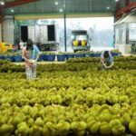 Thailand Receives Unwelcome News