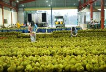 Thailand Receives Unwelcome News