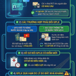 Who Needs to Renew Their Driver’s License Under the Latest Proposal by the Ministry of Public Security?
