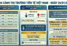 Currency Market Update: USD Rates Plummet, Interbank Interest Rates Surge, and the State Bank of Vietnam Injects Significant VND Liquidity