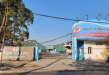 Halong Bay Canned Food Scandal: Bribery Uncovered in Issuance of Quarantine Certificates