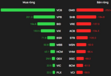 Foreign Block Reverses to Sell on VN-Index Record Day, Contrasting with Over 500 Billion VND Inflow into a Banking Stock