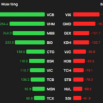 Foreign Block “Pours Money” in Strong Buying Spree as VN-Index Hits Peak, Investing Over 500 Billion in a Single Banking Stock