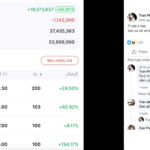 “Singer Phương Linh Reveals 43% Profit from Stocks, Holding VHM at $47, Riding the Wave of State-Owned Enterprise and Telecom Shares”