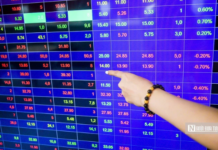 Revoking the Public Company Status of Cienco1 and Song Da 1.01