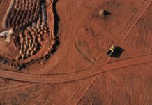 China Strikes Back: Immediate Ban on Rare Earth Exports to Japan Imposed