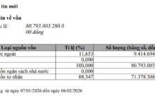 VinFast Boosts Capital by $1.3 Billion to $3.5 Billion, Surpassing Vingroup’s Valuation