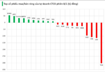 Bank Stock Plunges as Brokerage Firms Unload Over 300 Billion VND in Net Selling on August 1st Session