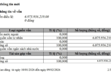 Another Company Owned by Trinh Van Quyet Increases Charter Capital, Surpassing VND 6,000 Billion Post-FLC