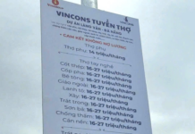 Top Vietnamese Construction Giants, Including Billionaire Pham Nhat Vuong’s Firm, Offer Lucrative Salaries: Skilled Workers Up to $1,400, Foremen $1,700 Monthly