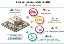 VinSmart Shifts Partial Production from Hanoi to Hai Phong, Capital’s Index Declines