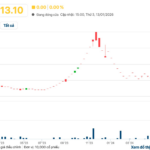 A Tân Hoàng Minh Ecosystem Company Set to Exit the Stock Market in Early 2026