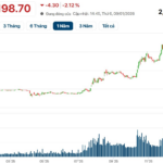 Billionaire Female PhD Amasses $2 Billion Fortune, Doubling Wealth in a Year Through Vietjet Stocks