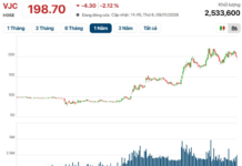 Billionaire Female PhD Amasses $2 Billion Fortune, Doubling Wealth in a Year Through Vietjet Stocks