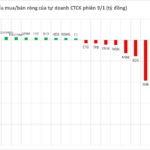 Unexpected Force Unloads Nearly VND 1.4 Trillion in Vietnamese Stocks on Final Trading Day, Heavily Selling Bank Shares
