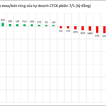 Proprietary Trading Firms Unload Nearly VND 750 Billion as VN-Index Hits Record High: Which Stocks Are at the Center of the Sell-Off?