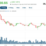 25-Year-Old Woman Earns $150 Million in One Year, Joins Top 20 Richest on Vietnam’s Stock Market