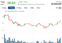 25-Year-Old Woman Earns $150 Million in One Year, Joins Top 20 Richest on Vietnam’s Stock Market