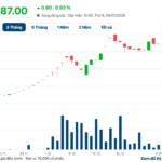 Unveiling the Mysterious Female Investor Who Spent $56 Million to Acquire 68.66% Stake in Giầy Thượng Đình, Currently Facing Over $34 Million in Paper Losses