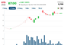 Unveiling the Mysterious Female Investor Who Spent $56 Million to Acquire 68.66% Stake in Giầy Thượng Đình, Currently Facing Over $34 Million in Paper Losses