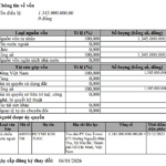 Major Shakeup at Tech Firm Owned by Billionaire Nguyen Thi Phuong Thao’s Son