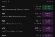 State-Owned Giants: 26 Listed Companies with 65-99% Government Ownership – Anticipating a Privatization Wave?