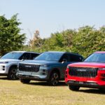 China’s Only Brand with a Vietnamese Factory Sees NEV Sales Surge Fivefold