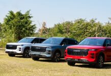 China’s Only Brand with a Vietnamese Factory Sees NEV Sales Surge Fivefold