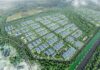 CEO Group Launches First Industrial Park Project in Hai Phong Free Trade Zone