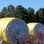 Vietnam’s Hidden Goldmine: A $40 Billion Industry That Puts the Country in the Global Top 3, with the US in Hot Pursuit