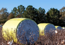 Vietnam’s Hidden Goldmine: A $40 Billion Industry That Puts the Country in the Global Top 3, with the US in Hot Pursuit