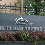 Revealed: Individual Investor Acquires Over 68% Stake in Giầy Thượng Đình